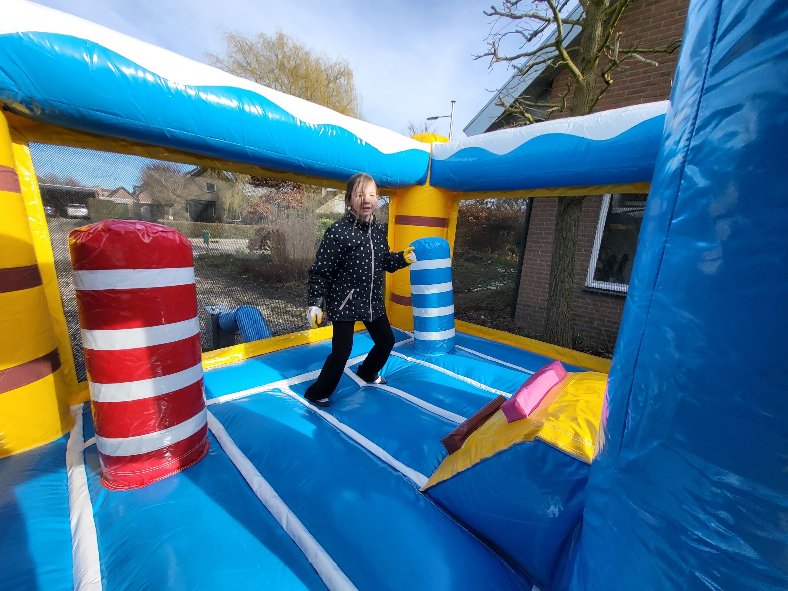 dolfijnspringkussen binnenzijde